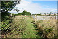 Path leading to Beverley