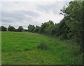 Field near to Buckminster Lodge