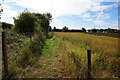 Path leading to Black House Farm, Long Lane