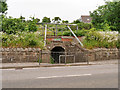NH6968 : Invergordon, Donkey Bridge by David Dixon