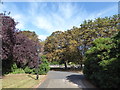 Celebrating the City of London Cemetery (1)