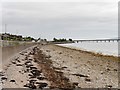 Cromarty Firth Shore Between Invergordon and Saltburn