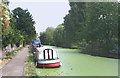 Hertford Union Canal covered in Cyanobacteria