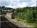 SC4384 : Viaduct over Church Hill and Lower Pencell, Laxey by Christine Johnstone