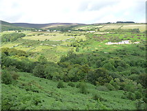 SC4285 : Laxey Glen from the Snaefell Mountain Railway [2] by Christine Johnstone