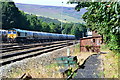 Freight train at Earles Sidings