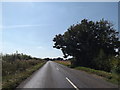 TM0987 : B1077 Mile Road, Short Green by Geographer
