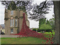 Poppy Window