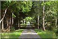 Private Road on the Dunecht Estate, Aberdeenshire