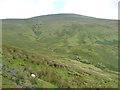 SC4086 : Moorland sheep pasture above Laxey Glen by Christine Johnstone
