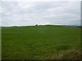 Field, Neilstonside