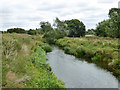 Relief channel, River Nene