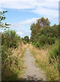 Dava Way near Dunphail