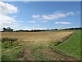 Harvested arable field at Ratcheugh Farm