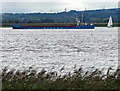 SE9125 : Cargo vessel passing Whitton Ness by Mat Fascione