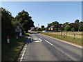 TM0990 : Entering New Buckenham on the B1113 Norwich Road by Geographer