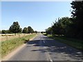 TM0990 : B1113 Norwich Road, New Buckenham by Geographer