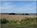 Arable land at Lookout Farm