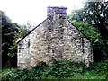 Ruined dwelling, Willmount (gable view)