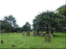 TM5080 : St Lawrence, South Cove: churchyard (vi) by Basher Eyre