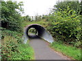 Twnnel Cinnamon Grove / Cinanamon Grove Tunnel