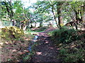 Llwybr Ceffyl Lower Freystrop / Lower Freystrop Bridleway