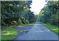 Lane to Flixborough through Burton Wood