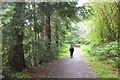 Caledonian Canal towpath at Laggan