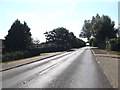 TM1494 : B1113 Norwich Road, Tacolneston by Geographer
