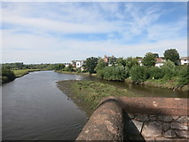 SX9489 : River Exe at Countess Wear Bridge by Des Blenkinsopp