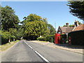 TM1495 : B1113 Norwich Road, Tacolneston by Geographer