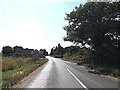TM1393 : Entering Bunwell on the B1113 Norwich Road by Geographer