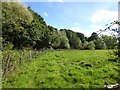 Woods and field north-west of Huntsham