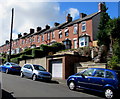 Row of brick houses above Lambert Street, Newport