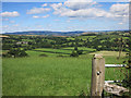 SX7061 : Dartmoor Edge Scenery by Des Blenkinsopp
