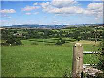 SX7061 : Dartmoor Edge Scenery by Des Blenkinsopp