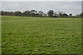 Farmland by the main line