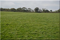 SW7345 : Farmland by the main line by N Chadwick