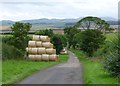 Round straw bales stored beside road