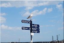 SZ0378 : Signpost on the South West Coast Path by Barry Shimmon