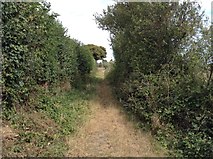 TR3349 : Path to Maydensole by Hugh Craddock