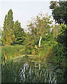 The Grantham Canal near Gertrude Road