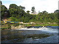 Railway beside Radyr Weir