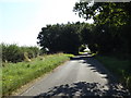 TM1484 : Burston Road, Gissing by Geographer