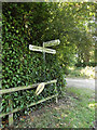 TM1485 : Roadsign on Burston Road by Geographer