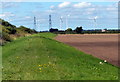 Floodbank along the River Trent