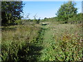 Footpath leading from Sheepstreet Lane