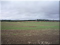 Field north of the A699