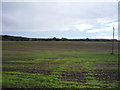 Field off the A699