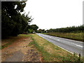 TL9172 : Entering Ixworth Thorpe on the A1088 Thetford Road by Geographer